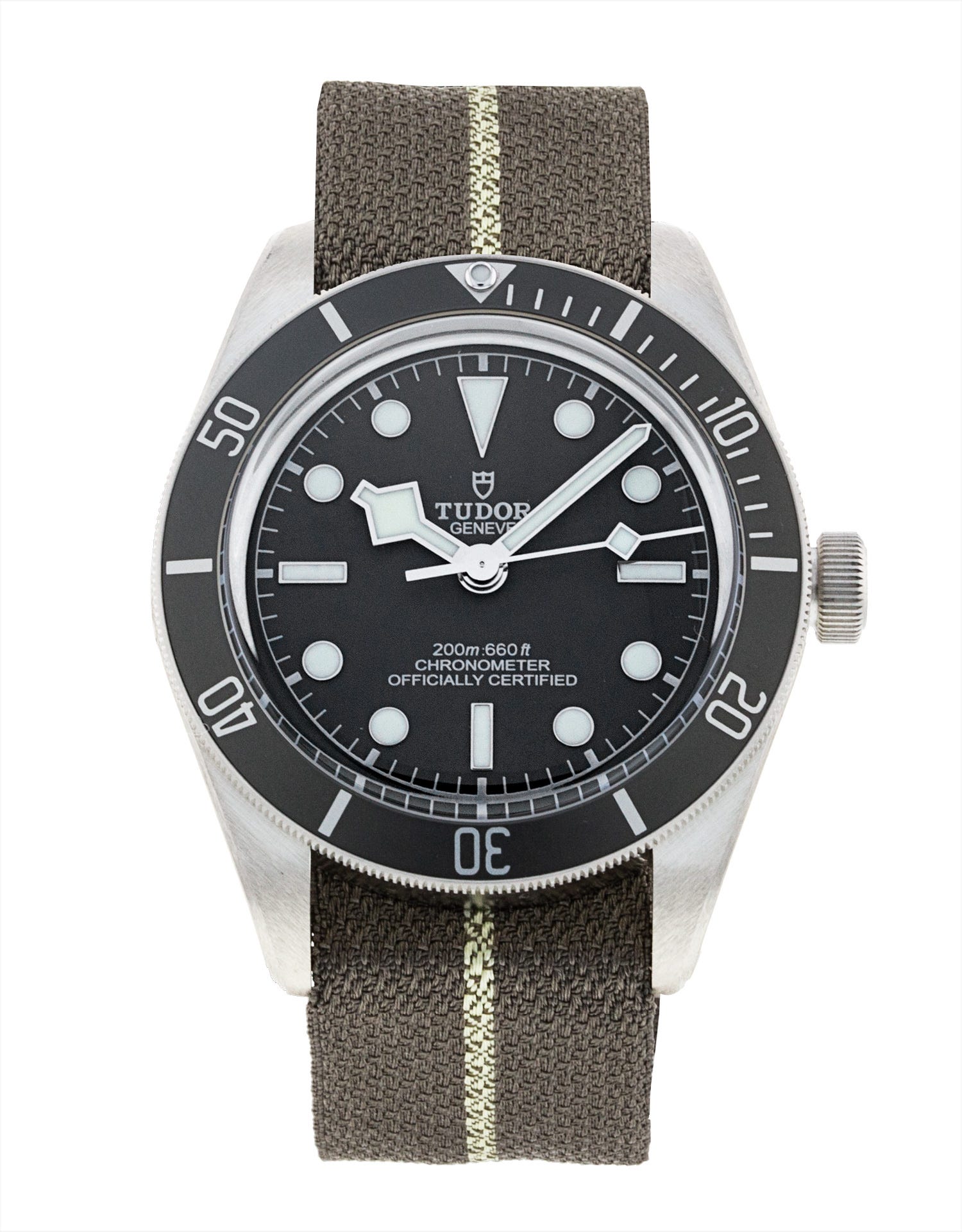 Tudor Black Bay 58 M79010SG-0002 204101