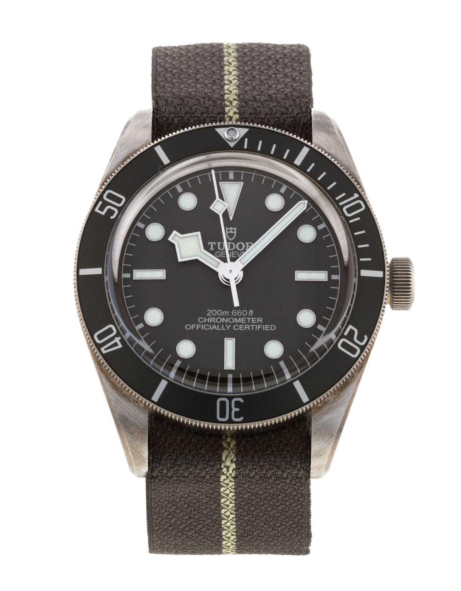 Tudor Black Bay 58 M79010SG-0002